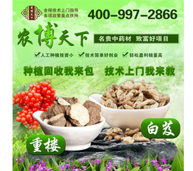 農博天下